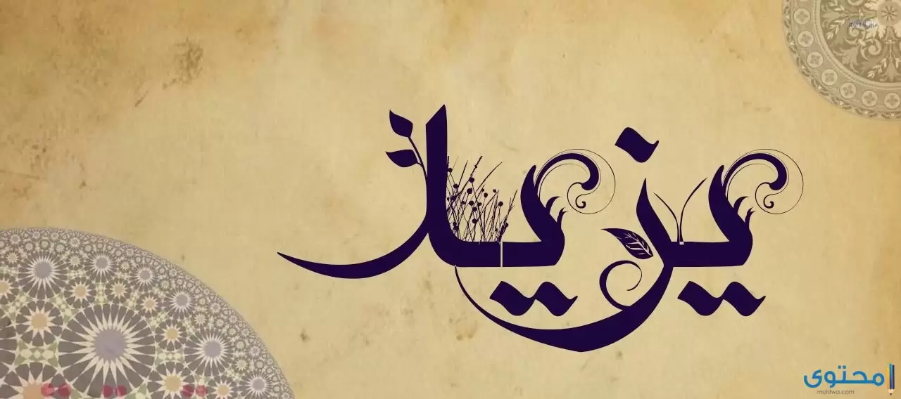 يزيد مزخرف 3