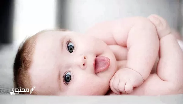 اسماء أولاد اسلامية من الصحابة 2024