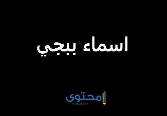 اسماء ببجي 2024 مزخرفة عربي وانجليزي PUBG NAME