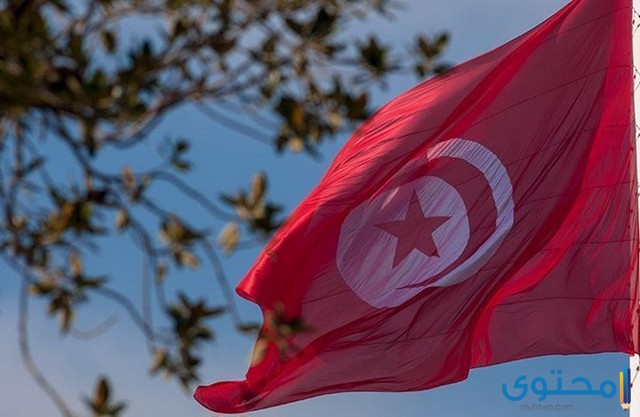 الأمثال التونسية ومعناها