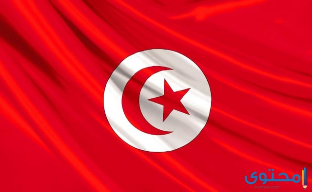 أشهر كلمات تونسية ومعانيها