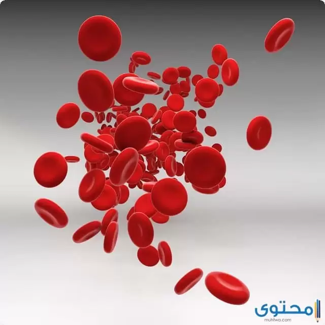 التهاب الدم يؤثر على الجسم