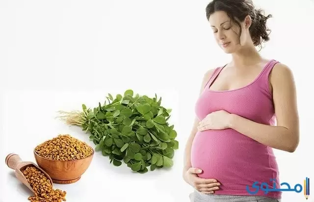 اعشاب تساعد على الحمل 2