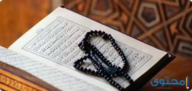 ترتيب افضل قراء القران الكريم في العالم العربي والاسلامي