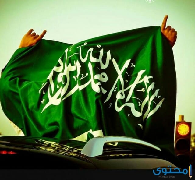 افكار لليوم الوطني السعودي