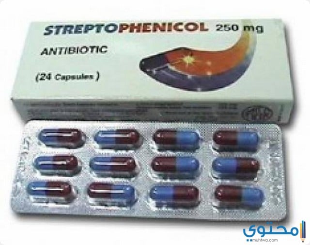 نشرة ستربتوفينيكول لعلاج النزلات المعوية للأطفال Streptophenicol