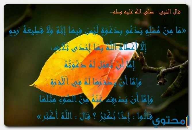 الدعاء بين الأذان والإقامة