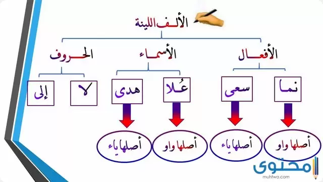 الألف اللينة في الأفعال غير الثلاثية