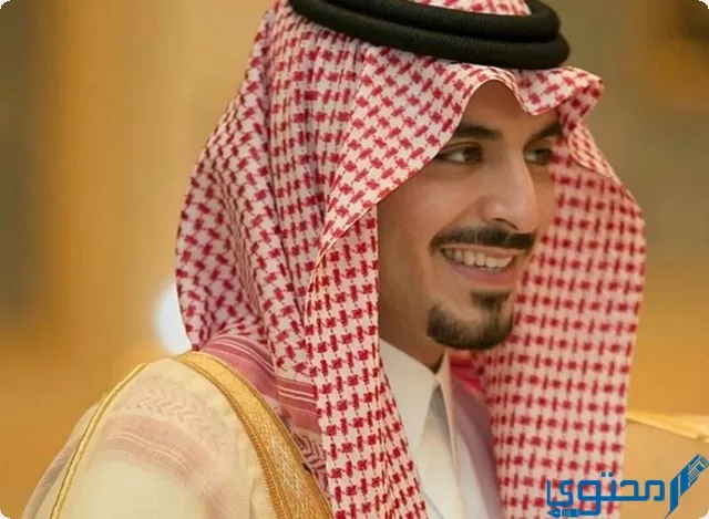 الأمير مشعل بن سلطان السيرة الذاتية