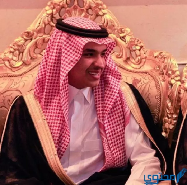 الأمير نايف بن سلمان بن عبد العزيز آل سعود