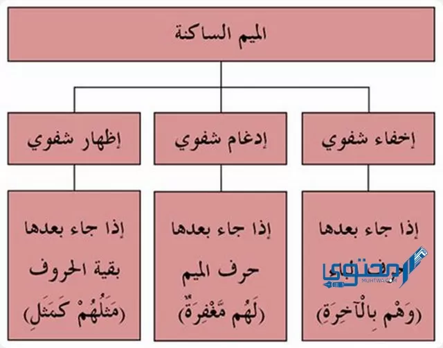 الإدغام الصغير له حرف واحد