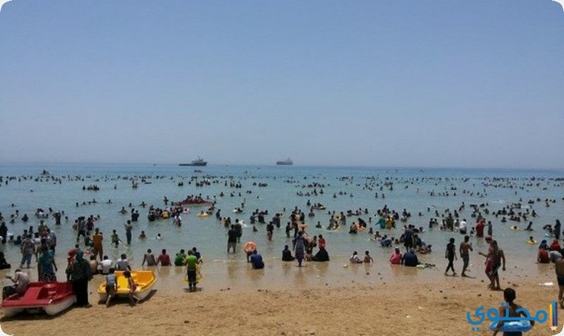 الادبية-1.jpg