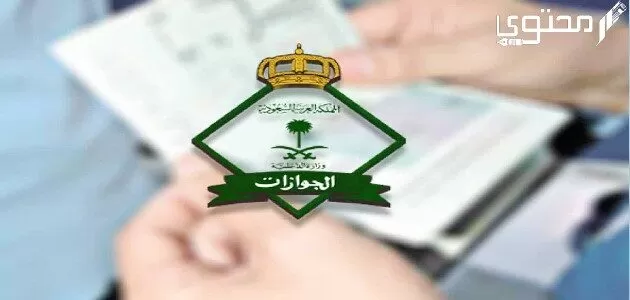 الاستعلام عن تأشيرة خروج وعودة للمقيمين في السعودية