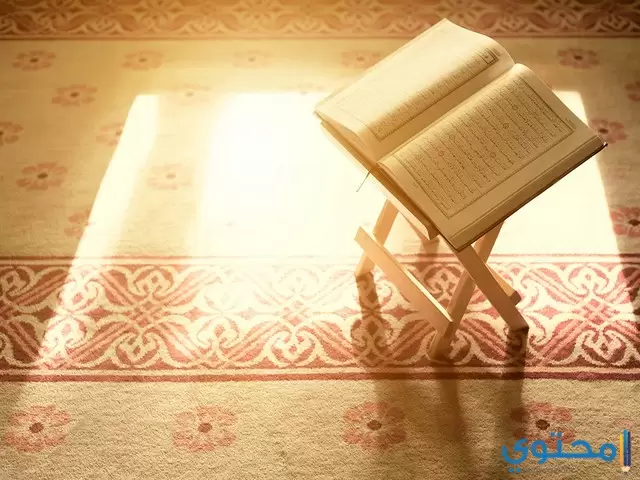 في القران