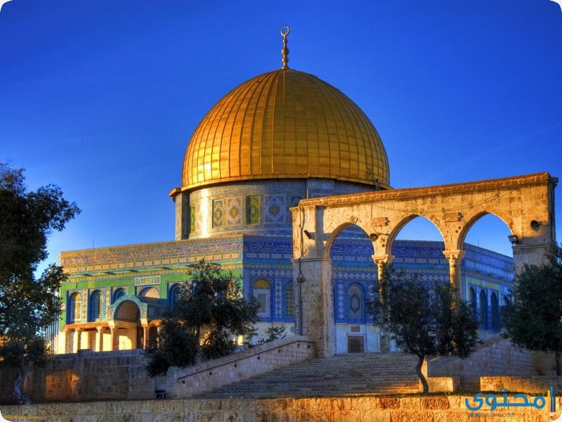 معالم وصور السياحة في فلسطين (عاشت فلسطين) 1 السياحة في فلسطين