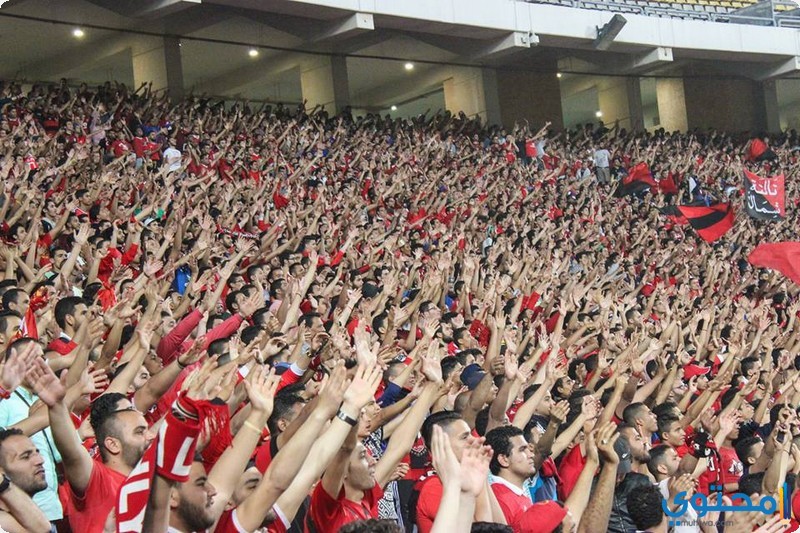 الاهلي-المصري03.jpg