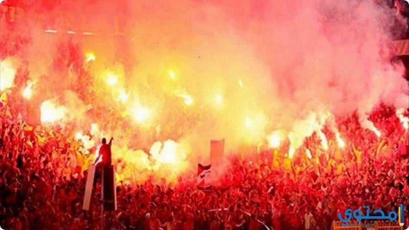 الاهلي-المصري10.jpg