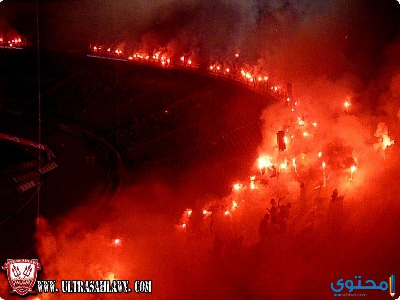 الاهلي-المصري11.jpg