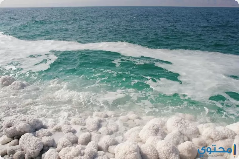 السياحة العلاجية في البحر الميت