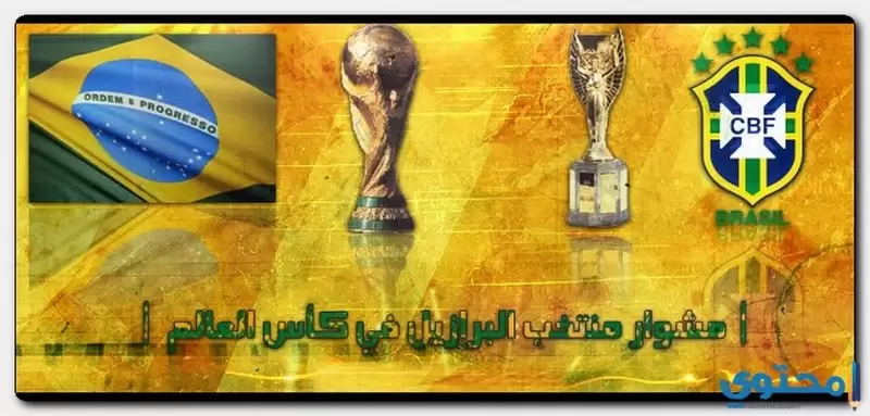 البرازيل 08