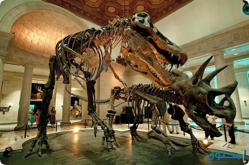 متحف التاريخ الطبيعي في لوس انجلوس