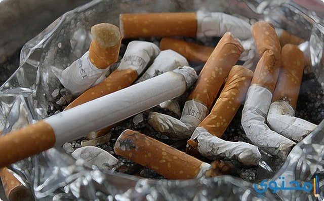 بحث عن المخدرات وأضرارها مع المراجع والعناصر 1 بحث عن المخدرات