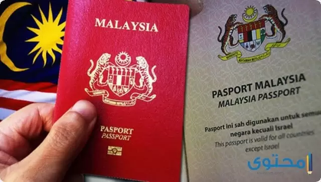 التصريح الأمني لماليزيا