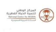 التقديم على المركز الوطني لتنمية الحياة الفطرية 1444