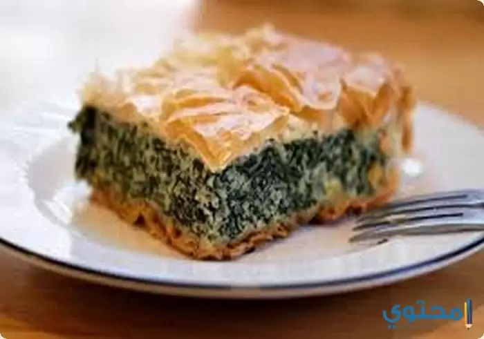 بالسبانخ والدجاج3