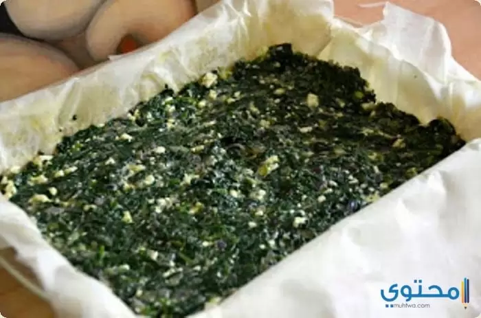 بالسبانخ والدجاج7