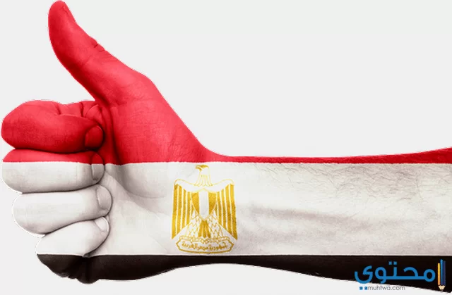 تعبير عن الجيش المصري