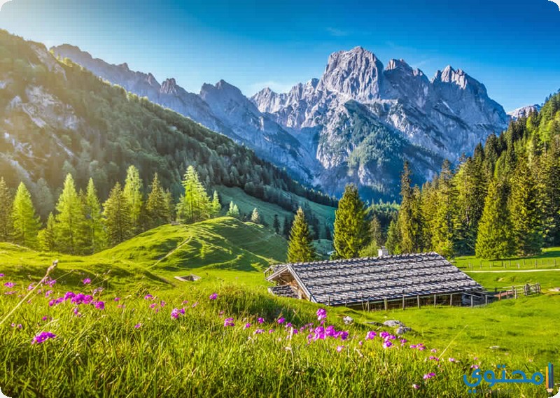 الحديقة الوطنية السويسرية