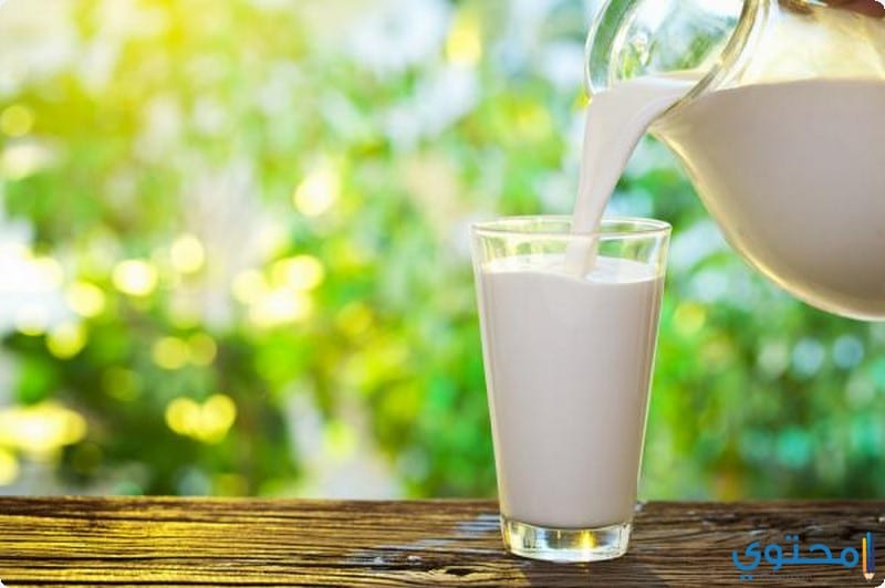 فوائد الحليب وقيمته الغذائية ملف كامل
