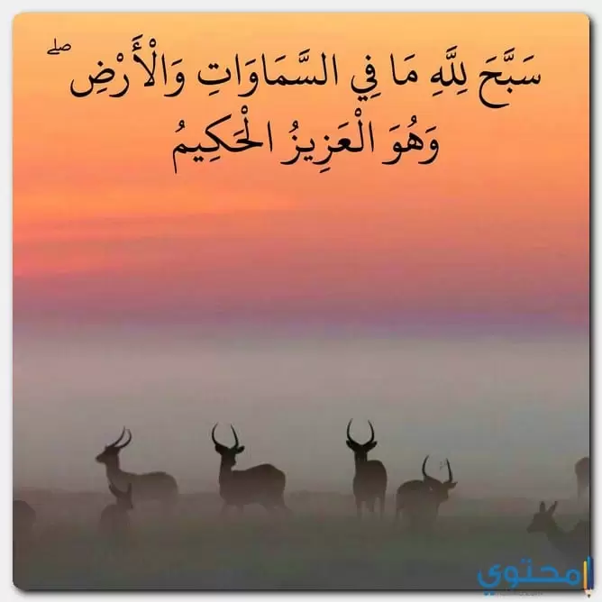 آيات عن الحمد والشكر