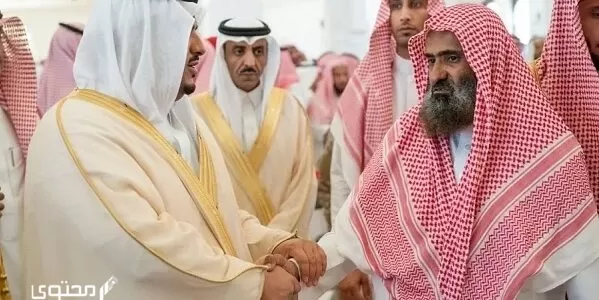 الحوشان وش يرجعون