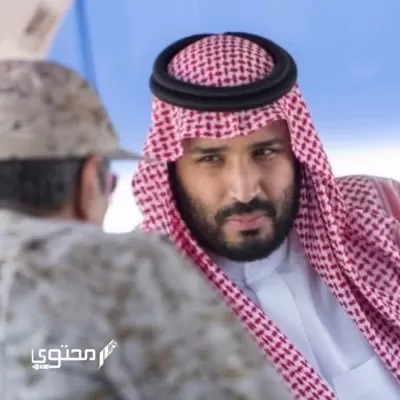 الحوشان وش يرجعون