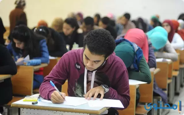 الفنية3