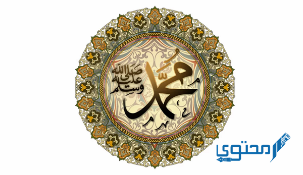 الذي كفل الرسول بعد وفاة والدته هو وأهم المعلومات عنه 1 الذي كفل الرسول صلى الله عليه وسلم بعد وفاة والدته هو وأهم المعلومات عنه