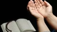 الرد على قواك الله أو الله يقويك