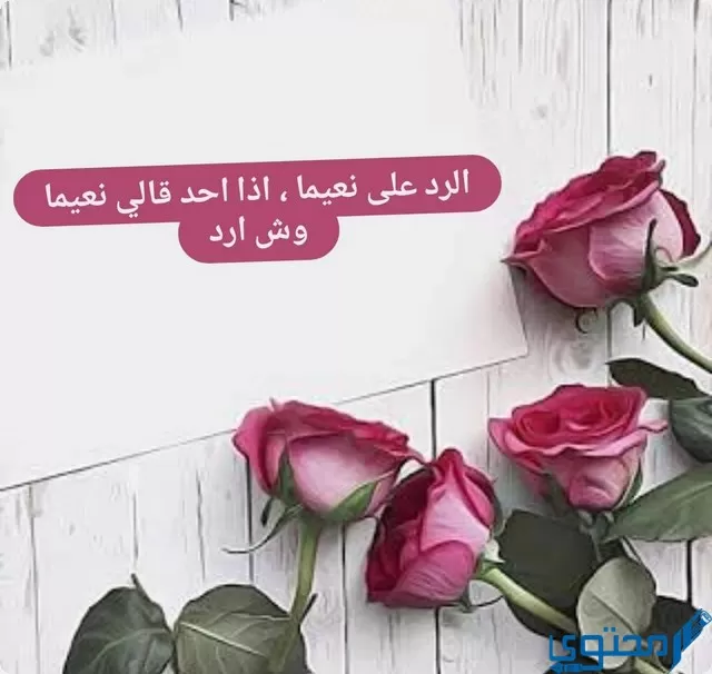 الرد على نعيما