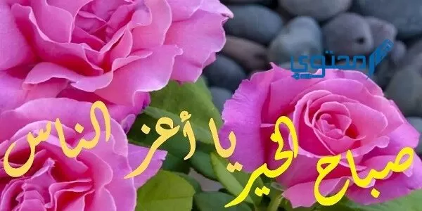 الرد على يسعد صباحك بكل خير