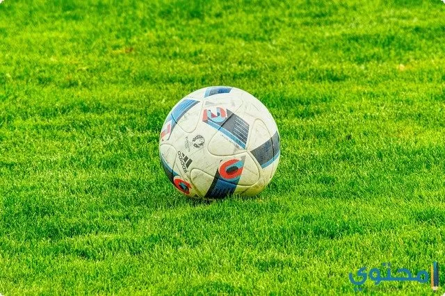 أهمية الرياضة