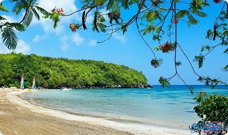 تقرير السياحة في جامايكا بالصور 2024