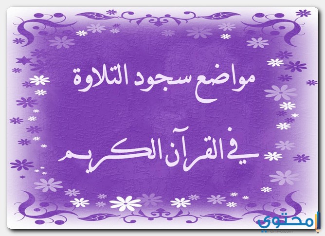 مواضع سجود التلاوة في القرآن الكريم 1 مواضع سجود التلاوة