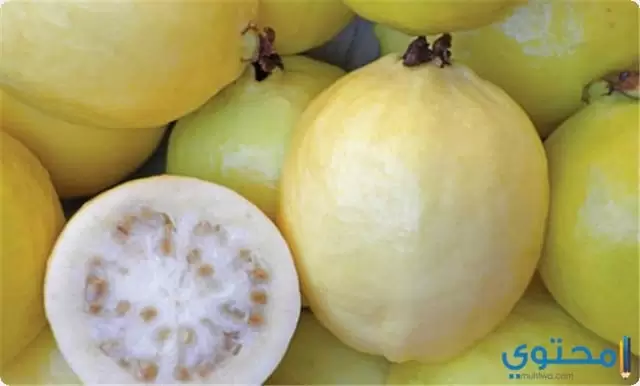 السعرات الحرارية في الجوافة1