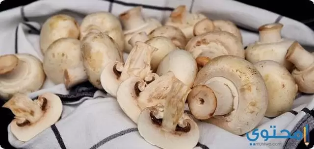 Voordelen van paddenstoelen
