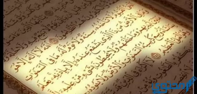 السورة القرآنية التي ذكر فيها الذباب