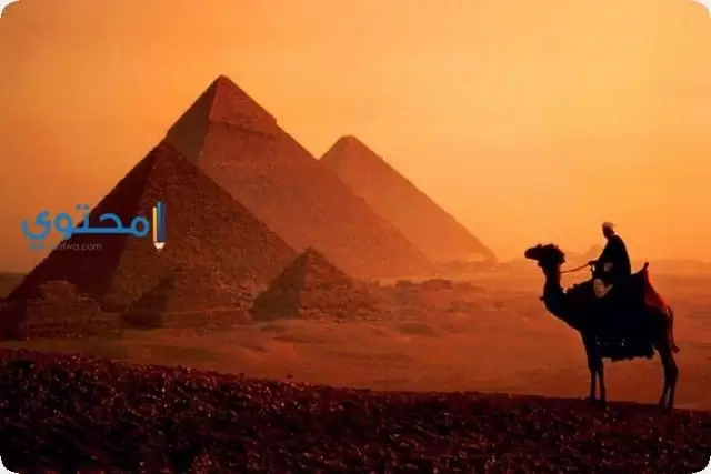 تفسير رؤية السفر إلى مصر في المنام دليل على الخير