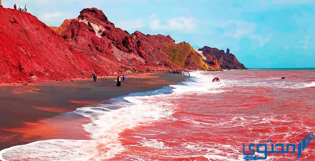الشاطئ الأحمر