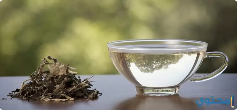 فوائد الشاي الأبيض للصحة والبشرة